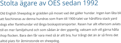 Stolta ägare av OES sedan 1992 Old English Sheepdog är grädden på moset vad det gäller hundar. Ingen kan låta bli att faschineras av denna hundras som fram till 1900-talet var hårdföra stack yard dogs eller flankhundar vid långa boskapstransporter. Rasen har allt eftersom avlats till en mer familjehund och som sådan är den ypperlig, vaksam och vill gärna hålla ihop flocken. Bara den får vara med så är allt bra, hur trångt det än är så finns det alltid plats för åtminstonde en sheepdog.